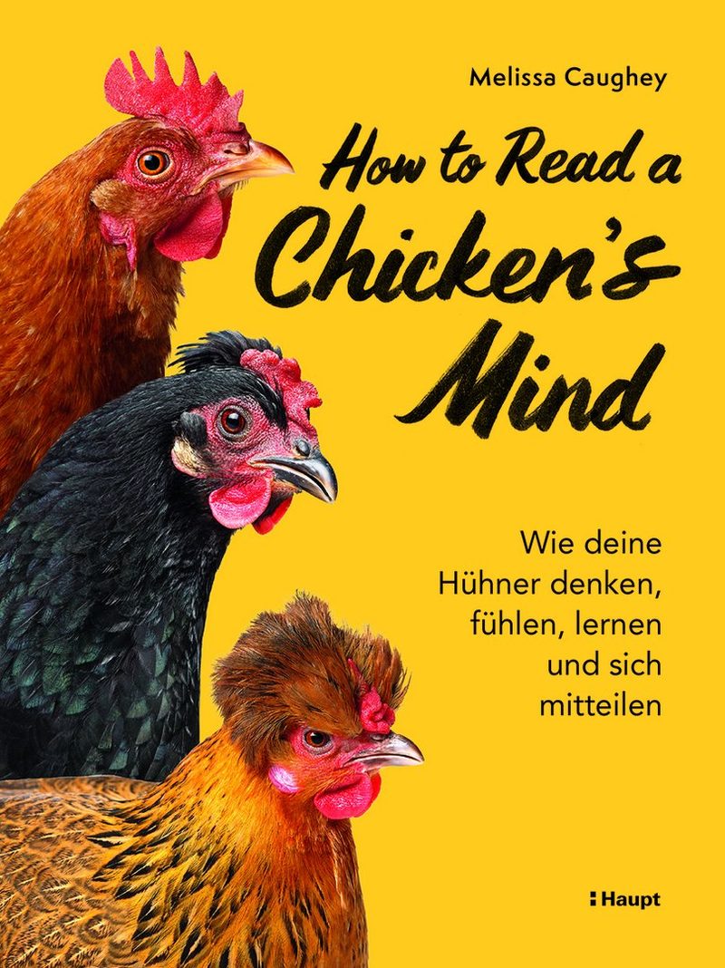 08450_Caughey_HowToReadAChickensMind_UG.indd