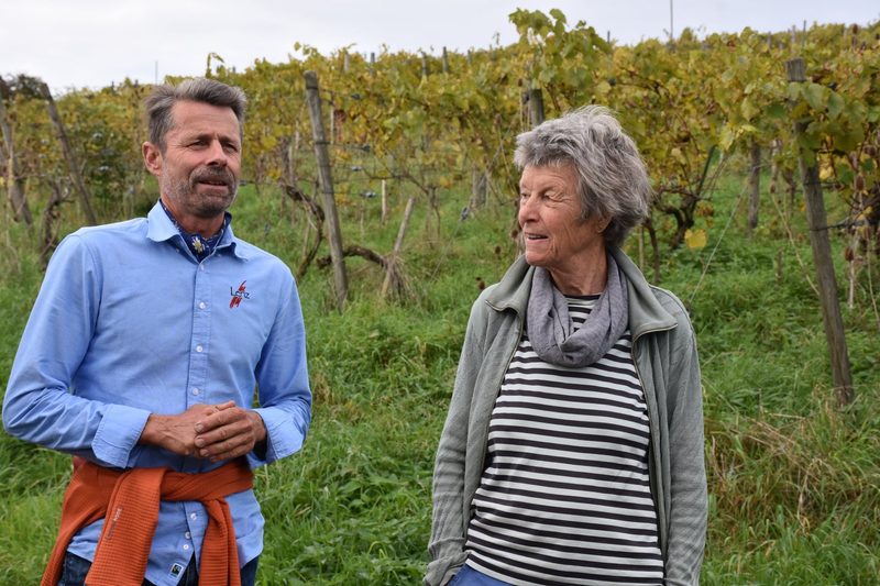 Der Inspirationstag von «BioEtico» fand im Rebberg statt