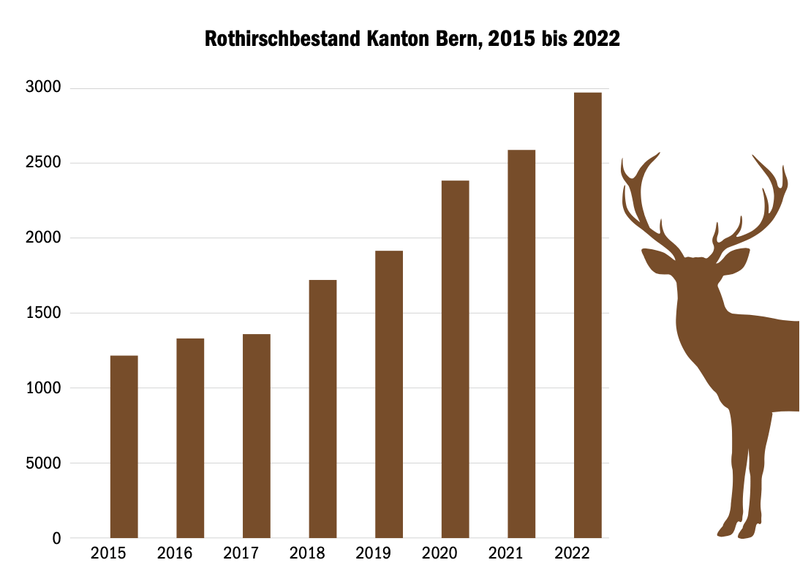 «Die Walderhaltung ist in grossen Teilen des Kantons Bern gefährdet»