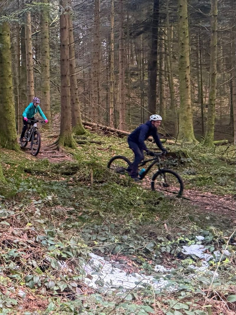 Wald Luzern fordert Schranken für Freizeitnutzung im Wald