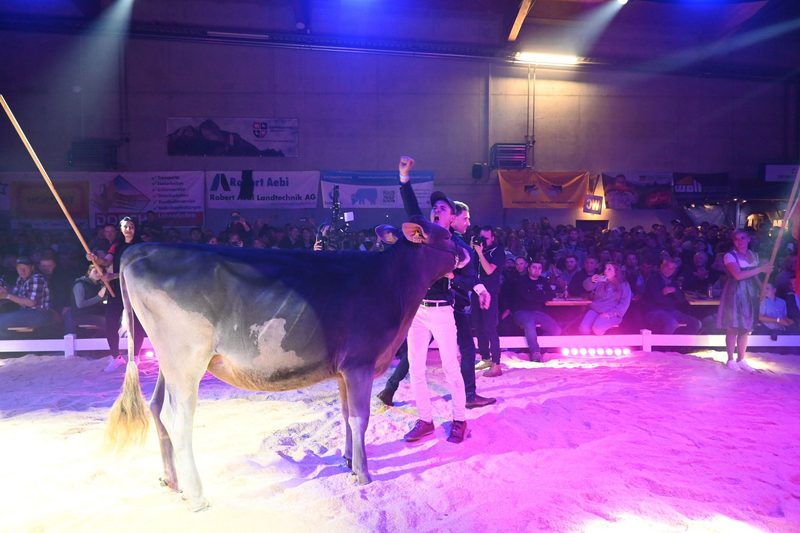 Champion-Tochter Three-S Hank Vegas holt den Sieg