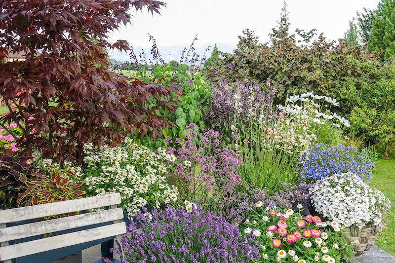 Mit diesen 5 Tipps locken Sie Insekten in Ihren Garten