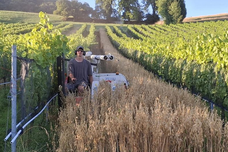 «Dieses unsägliche Bauernbashing ertrage ich nicht mehr»