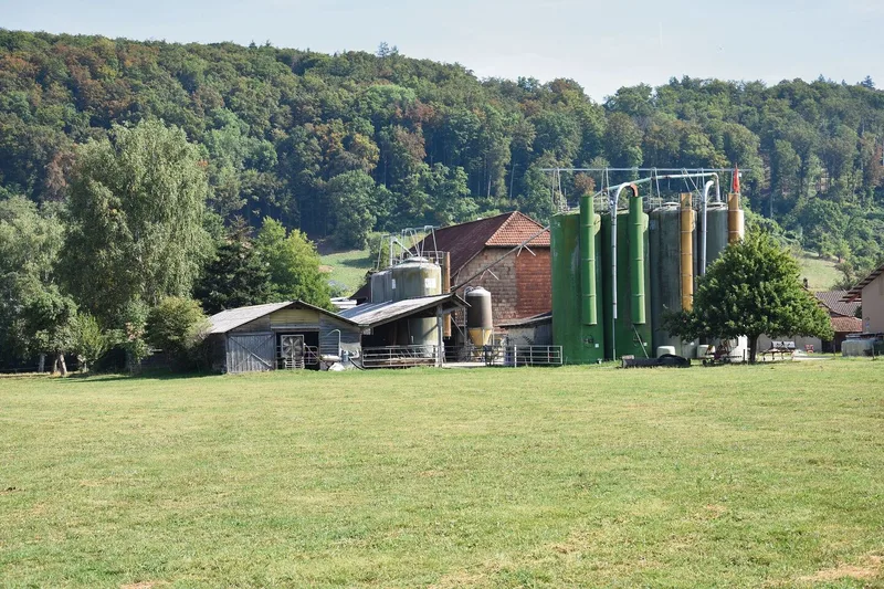 Der Betrieb liegt im Berner Seeland, die Böden sind fruchtbar – aber mehr Ackerbau würde sich nicht lohnen.