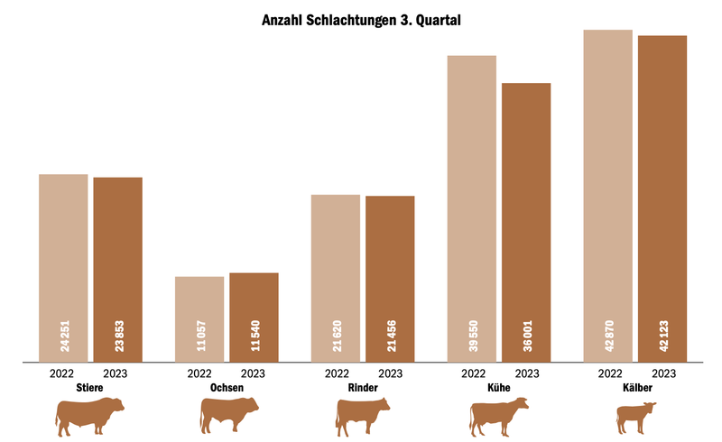 Schlachtungen im Herbst sind tief