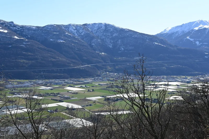 Wichtigste Käserei geschlossen: Tessiner Milch muss über die Alpen gekarrt werden