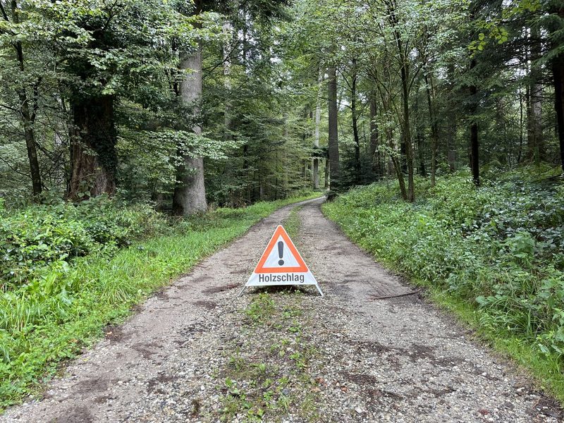 Velofahrer und Fussgänger auf dem Hof: Was kann man tun, um beim Rangieren Unfälle zu verhindern?