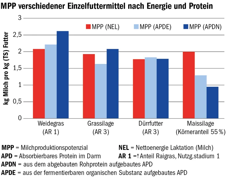 Weiden bietet Qualität und Kuhkomfort