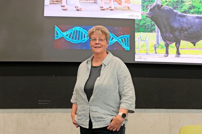Silvia Wegmann von Swissgenetics stellte am Strickhof-Beef-Tag das Zuchtprogramm für Beef on Dairy vor.