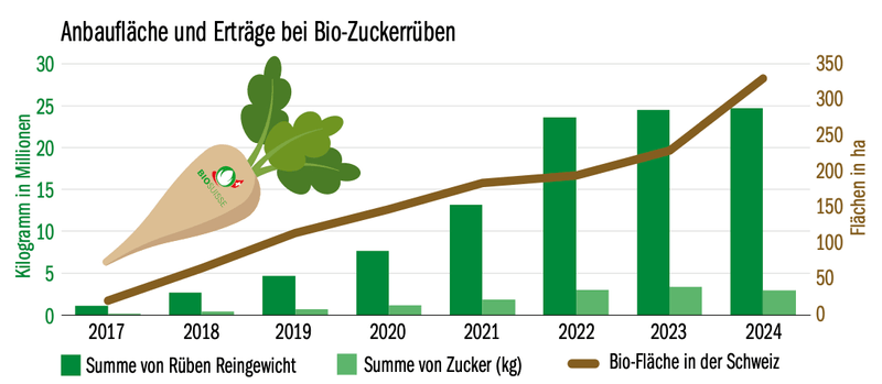 Zuckerrüben-Saison 2024: Da waren nicht nur die Bioproduzenten machtlos