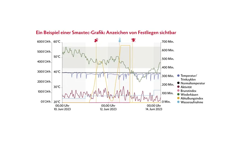 Eine Grafik zeigt mehrere Kurven in den unterschiedlichsten Farben.