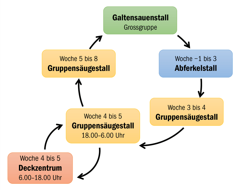 Die Geschwister Ruckli haben ein neues Absetzsystem entwickelt
