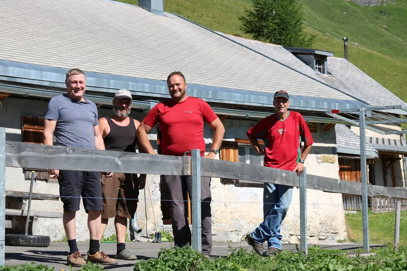 Auf Maienfelds Alpen werden 18 Tonnen Alpkäse und 3 Tonnen Alpbutter produziert