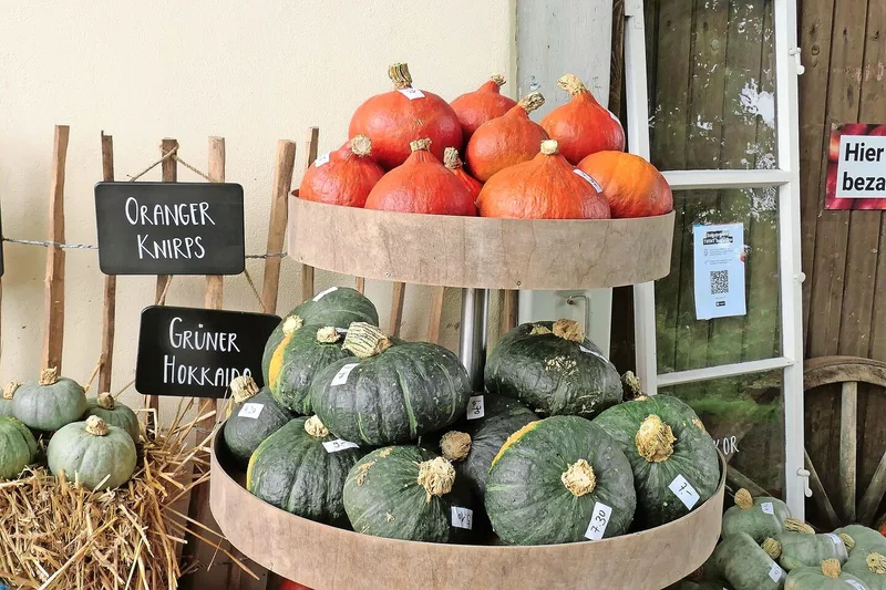 Höhepunkt der Saison ist jeweils die einladende Präsentation der Kürbisse vor dem Hof.