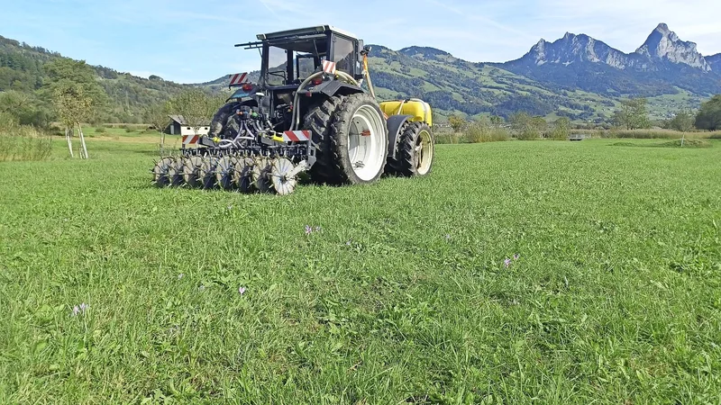 Der Japankäfer in der Schweiz: Auswirkungen und Bekämpfungsstrategien