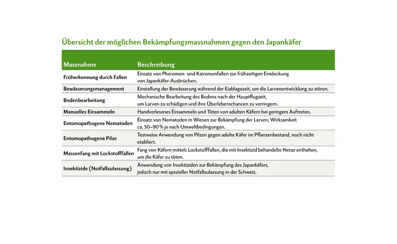 Der Japankäfer in der Schweiz: Auswirkungen und Bekämpfungsstrategien