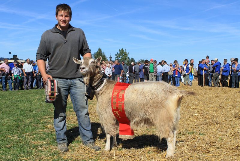 Ziegenzüchter gewinnt das Priis-Chlepfä in Schwyz