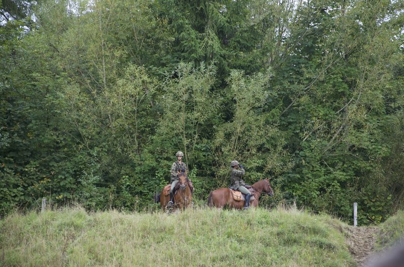 Pferde im Dienste der Armee: Ein Einblick in die Trainausbildung