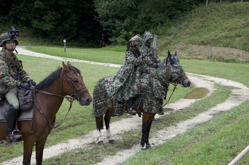 Pferde im Dienste der Armee: Ein Einblick in die Trainausbildung