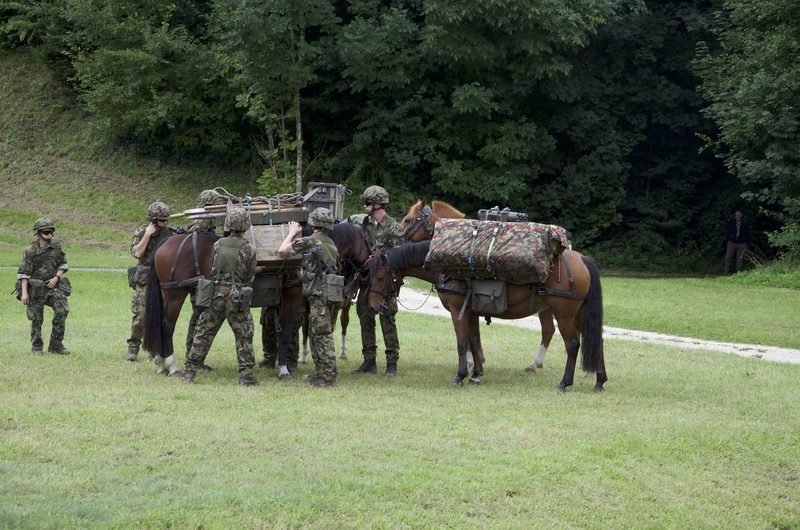 Pferde im Dienste der Armee: Ein Einblick in die Trainausbildung