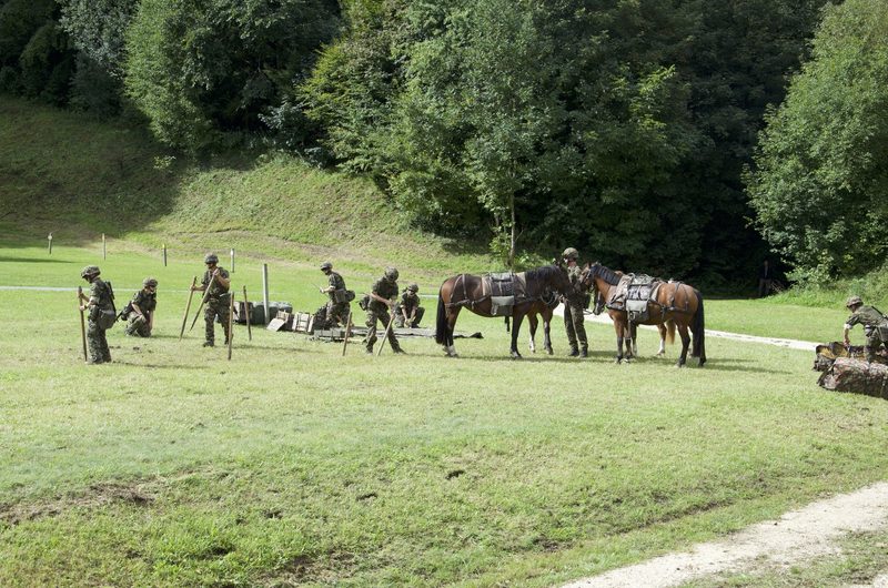Pferde im Dienste der Armee: Ein Einblick in die Trainausbildung