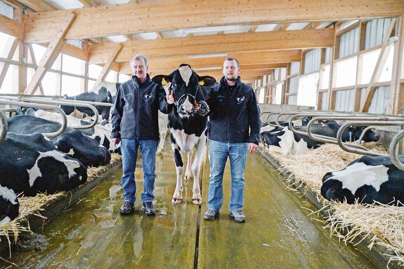 Das Herz des Vater-Sohn-Gespanns Alain (links) und Severin Jungo aus dem freiburgischen Tentlingen schlägt ganz klar für die Holsteinkühe. Heuer wurden die beiden vom Verband Holstein Switzerland für ihre Leidenschaft ausgezeichnet und mit dem Titel Meisterzüchter 2021 geehrt.
