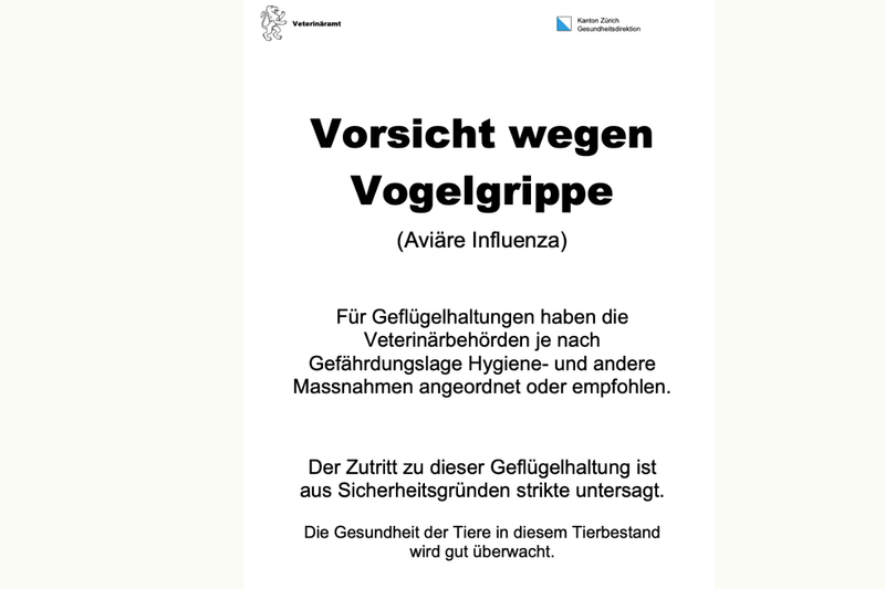 Die Vogelgrippe grassiert wieder in der Schweiz