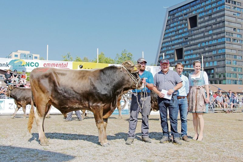 Berset wurde zum Mister Genetik erkoren