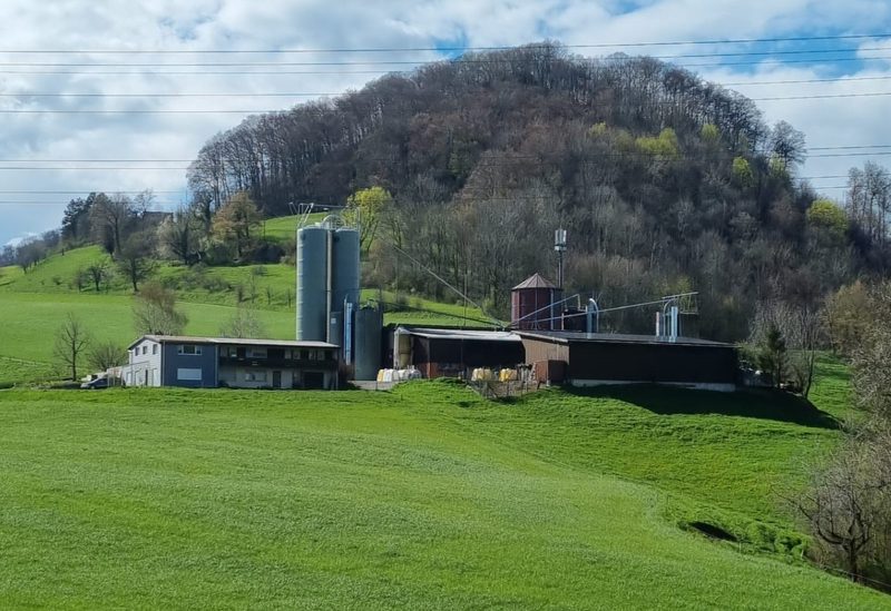 «Handzahme Tiere werden von den Käufern geschätzt»