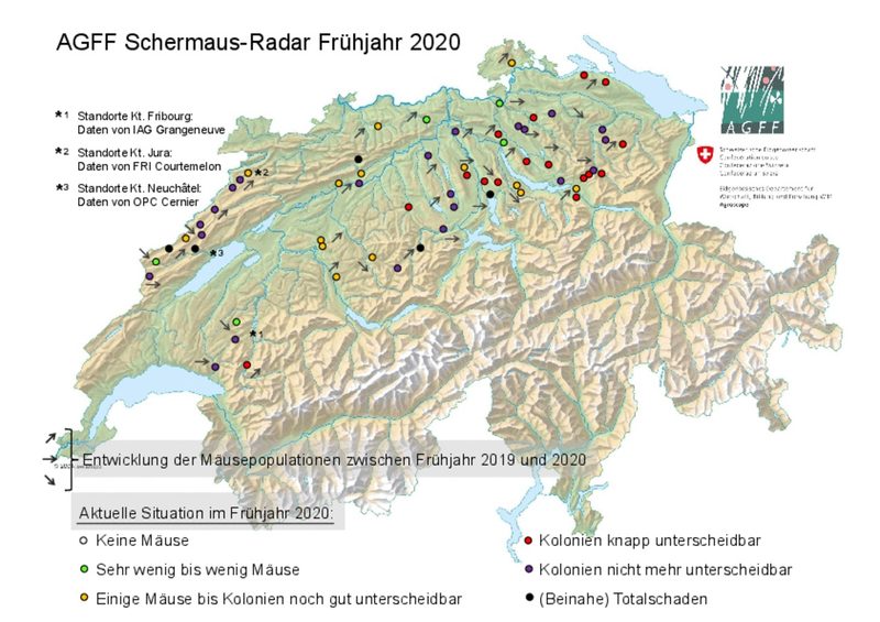 Schermäuse: 2020 Entspannung im Emmental, aber Massen in Luzern