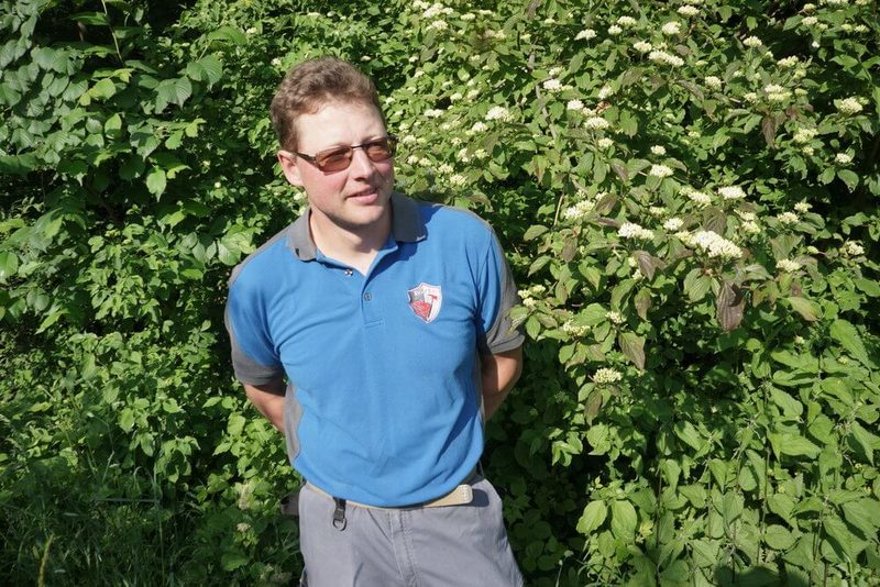 Die schönste Hecke im Kanton St. Gallen wurde gekürt