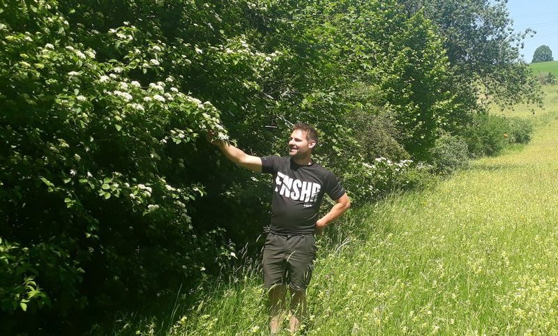 Die schönste Hecke im Kanton St. Gallen wurde gekürt