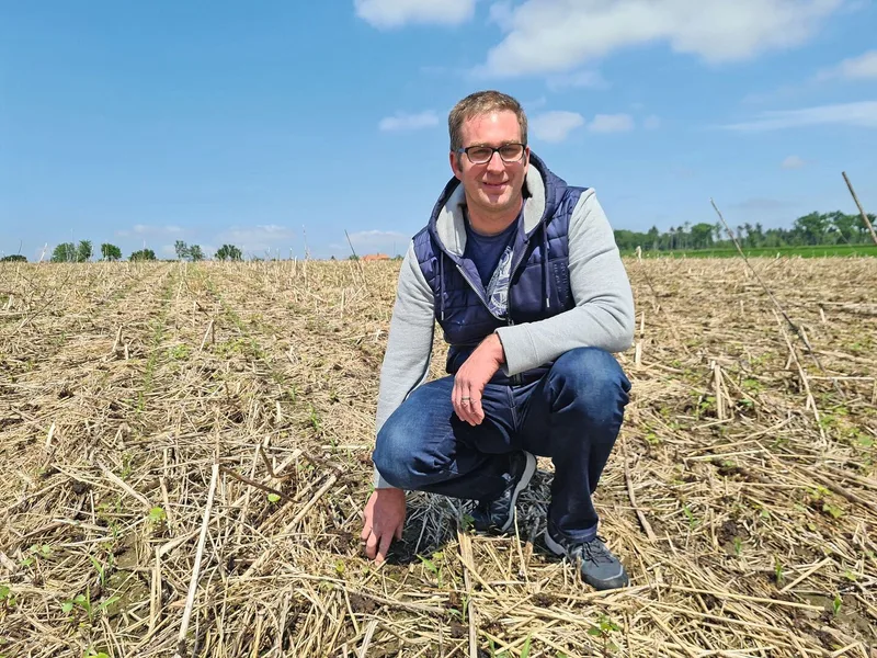 Andreas Indermühle kontrolliert das Maisfeld nach einem heftigen Starkregen im Mai. Die Mulchschicht der Zwischenkultur hat die Bodenkrümel vor einem Erosionsschaden bewahrt und der junge Mais wurde nicht behindert.