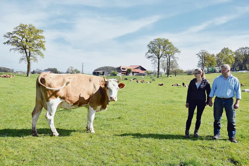 Adrian und Andrea Vonlanthen bei einer ihrer Lieblingskühen: Als Demeter-Betrieb dürfen sie nicht enthornen.