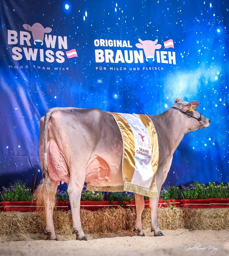 Die Schweiz triumphiert in Imst – Francesco De Benedetto ist dabei