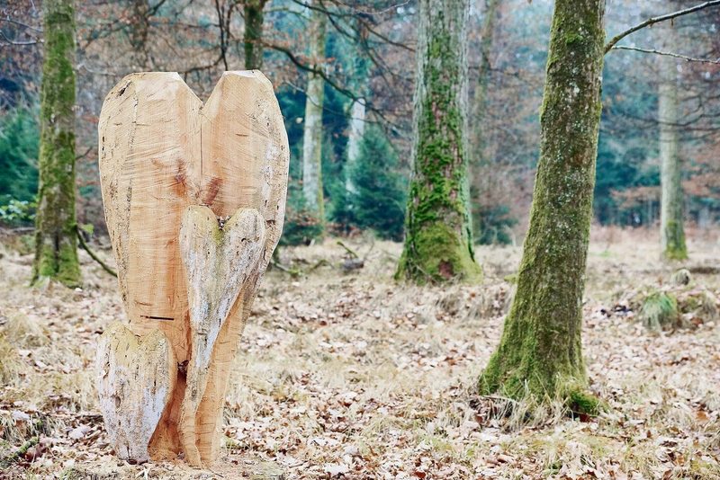Seit 100 Jahren mit Herz für den Aargauer Wald engagiert