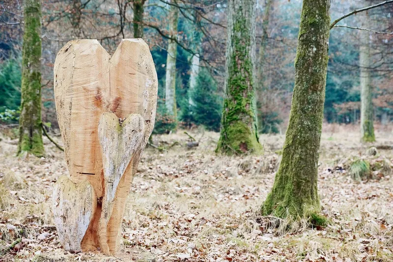 Seit 100 Jahren mit Herz für den Aargauer Wald engagiert