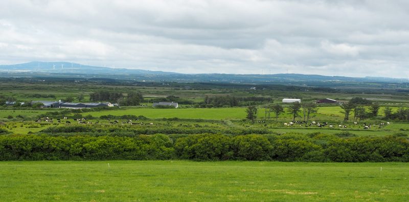Der süsse Duft des irischen Moors
