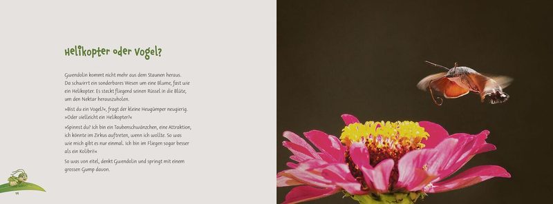 Die Geschichte des Heuhüpfers «Gwendolin»
