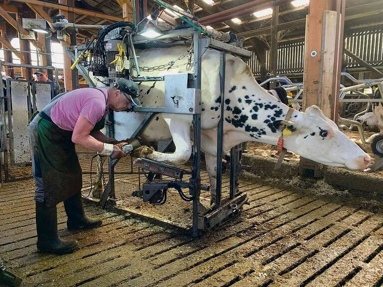 Zwei Neuanfänge und ein Abschied in Budjadingen