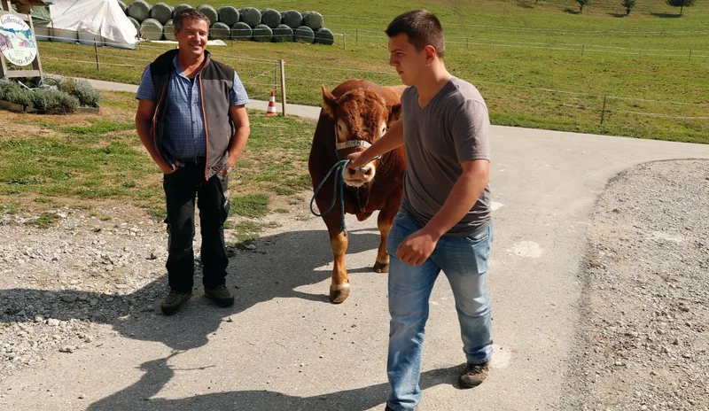 Fabian Bader führt Limousin-Stier Larry zum Fototermin. Bild: Ruben Sprich