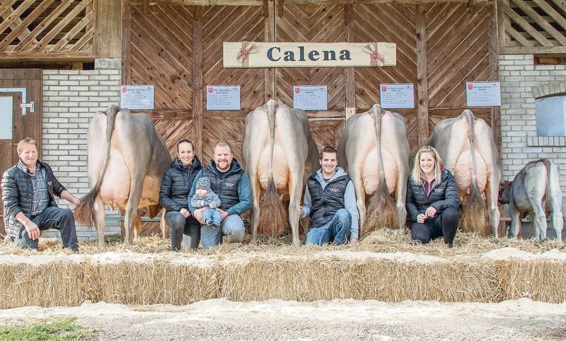 Die Familie Paul Kälin, Steinen, erreichte ein Spitzenresultat.