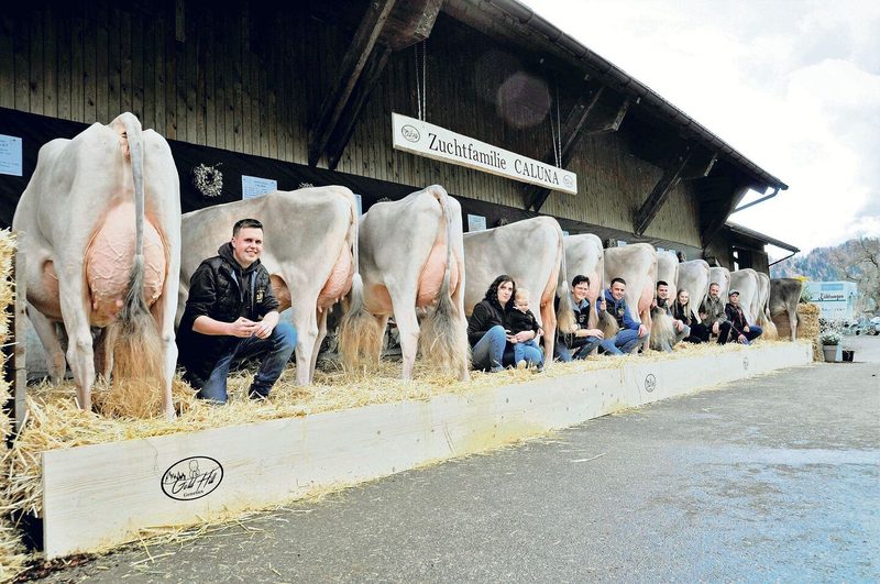 Caluna von der GoldHill Genetics in Romoos holte 93 Punkte.
