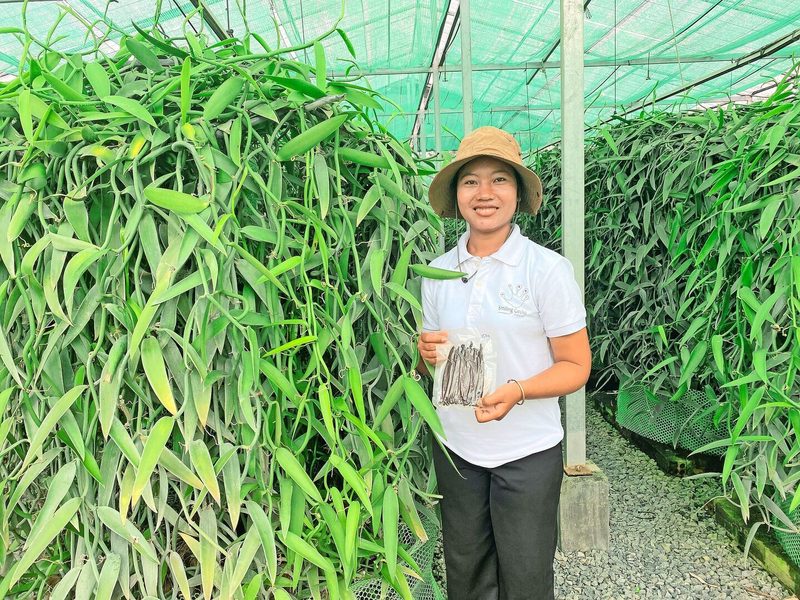 Stolz zeigt Agronomin Say Hab die im Versuchsgewächshaus geernteten und vakuumierten Schoten der Parfüm-Vanille-Pflanzen. Jede einzelne Blüte muss von Hand bestäubt werden.