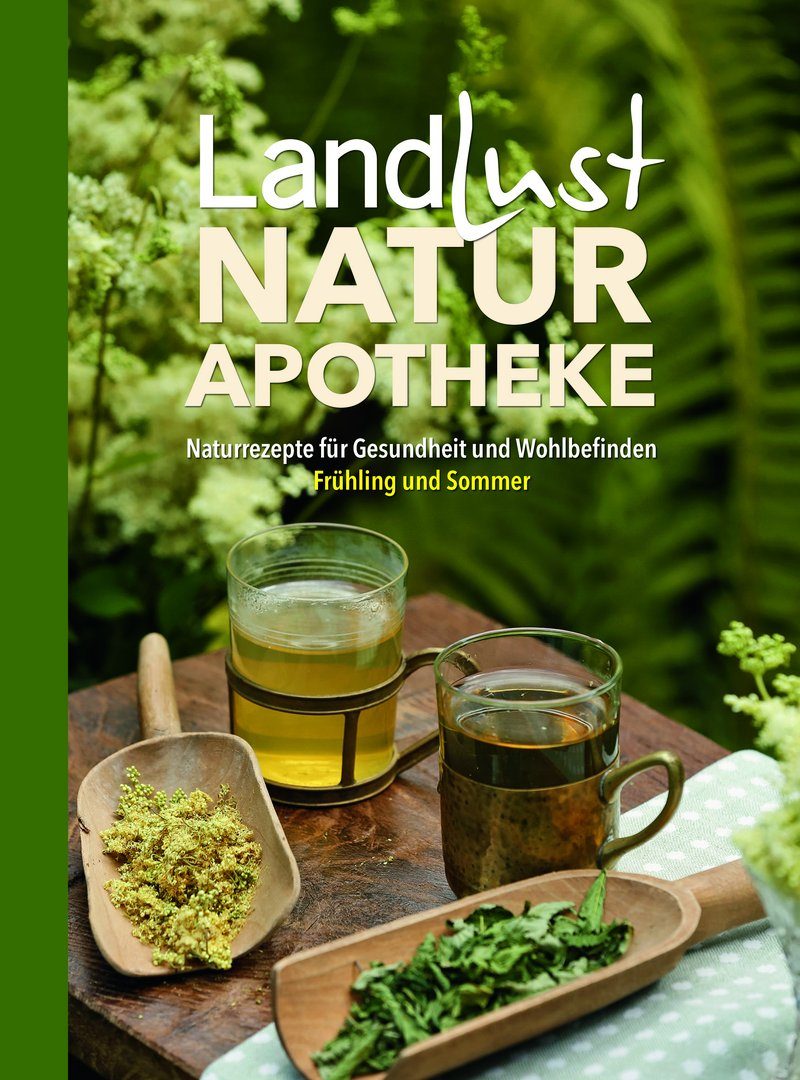 Rezepte aus der Natur: Helfer wie Löwenzahn, Bärlauch & Co. neu entdeckt