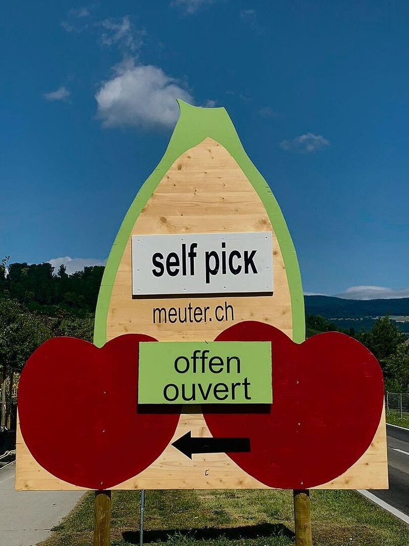 Ein grosses aufsehenerregendes Hofschild muss sein. Gut einsichtig von der Strasse aus, aber ohne den Verkehr zu behindern beziehungsweise die Sicht zu versperren.