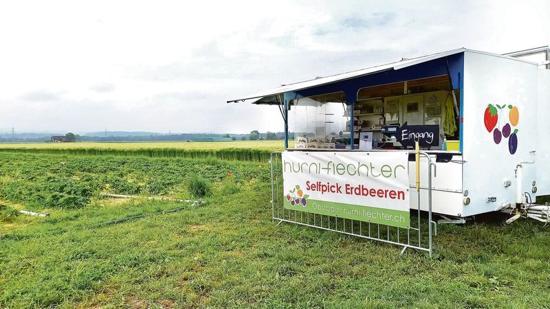 Selfpick für Profis