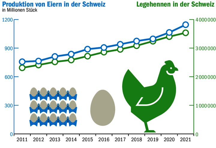 Fleissige Legehennen: Schweizer Hühner legen über eine Milliarde Eier pro Jahr