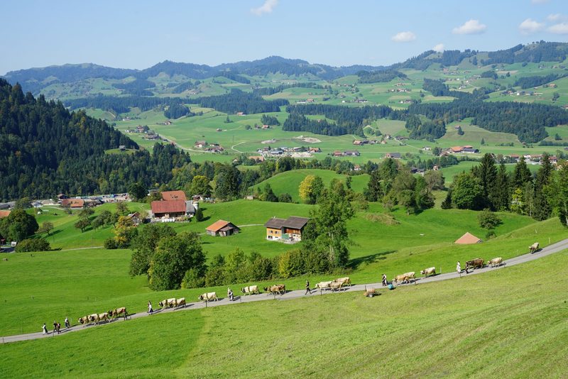Die Bewirtschaftung der Alpen soll eine Zukunft haben