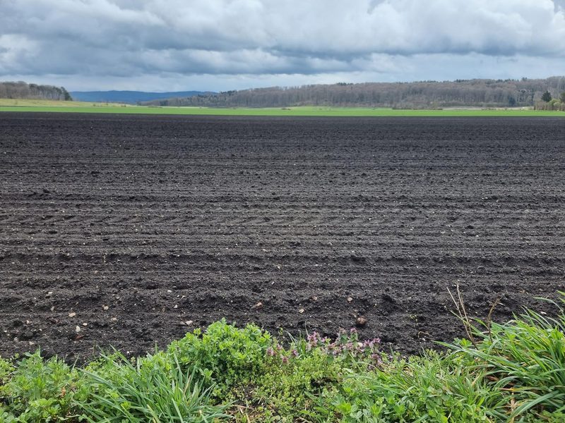 Berner Projekt will mehr Klimaschutz ohne Verbote